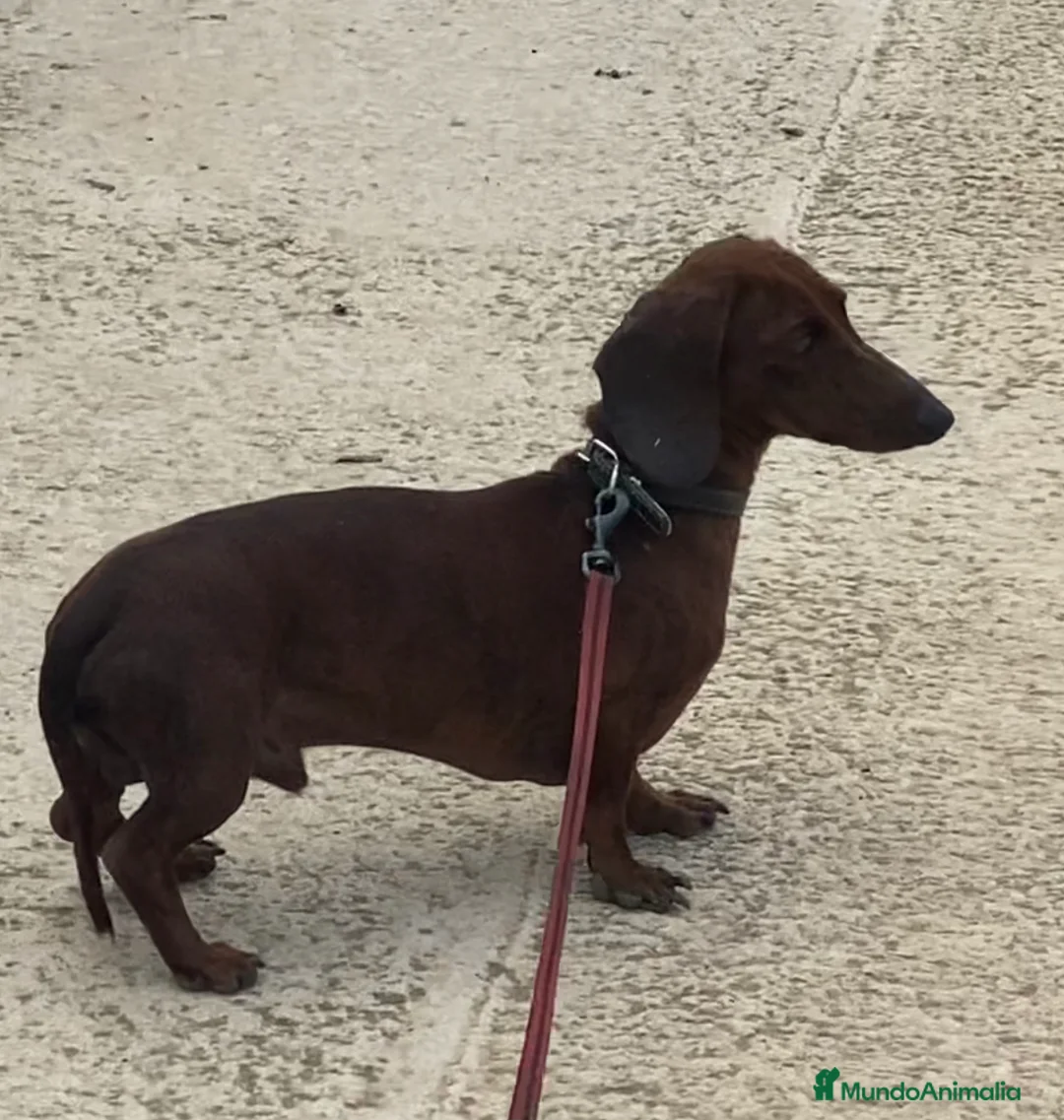 Imagen de galería {{count}}