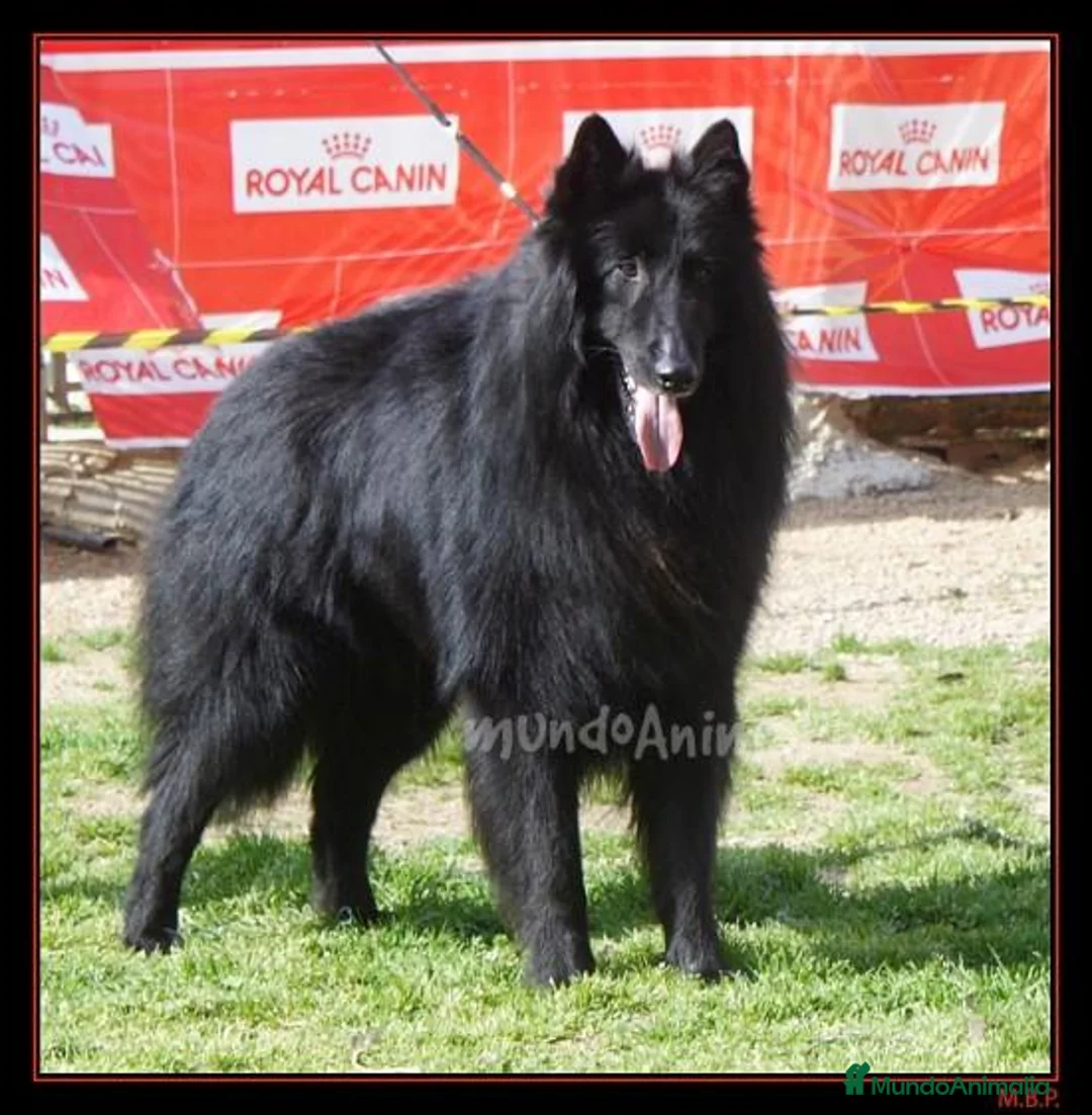 Imagen de galería {{count}}