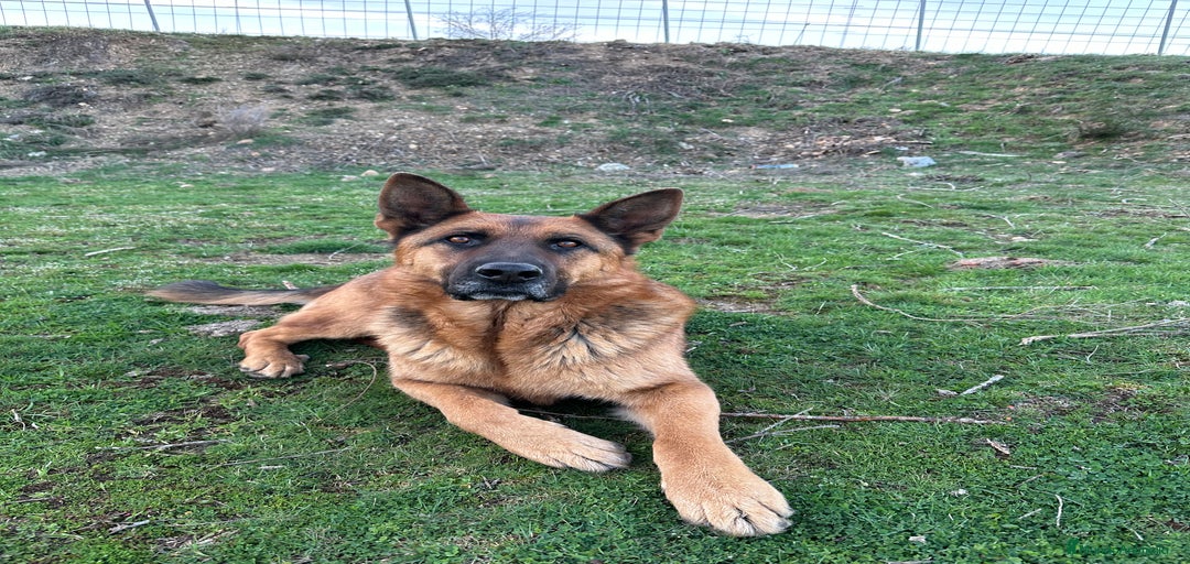 Imagen de galería {{count}}