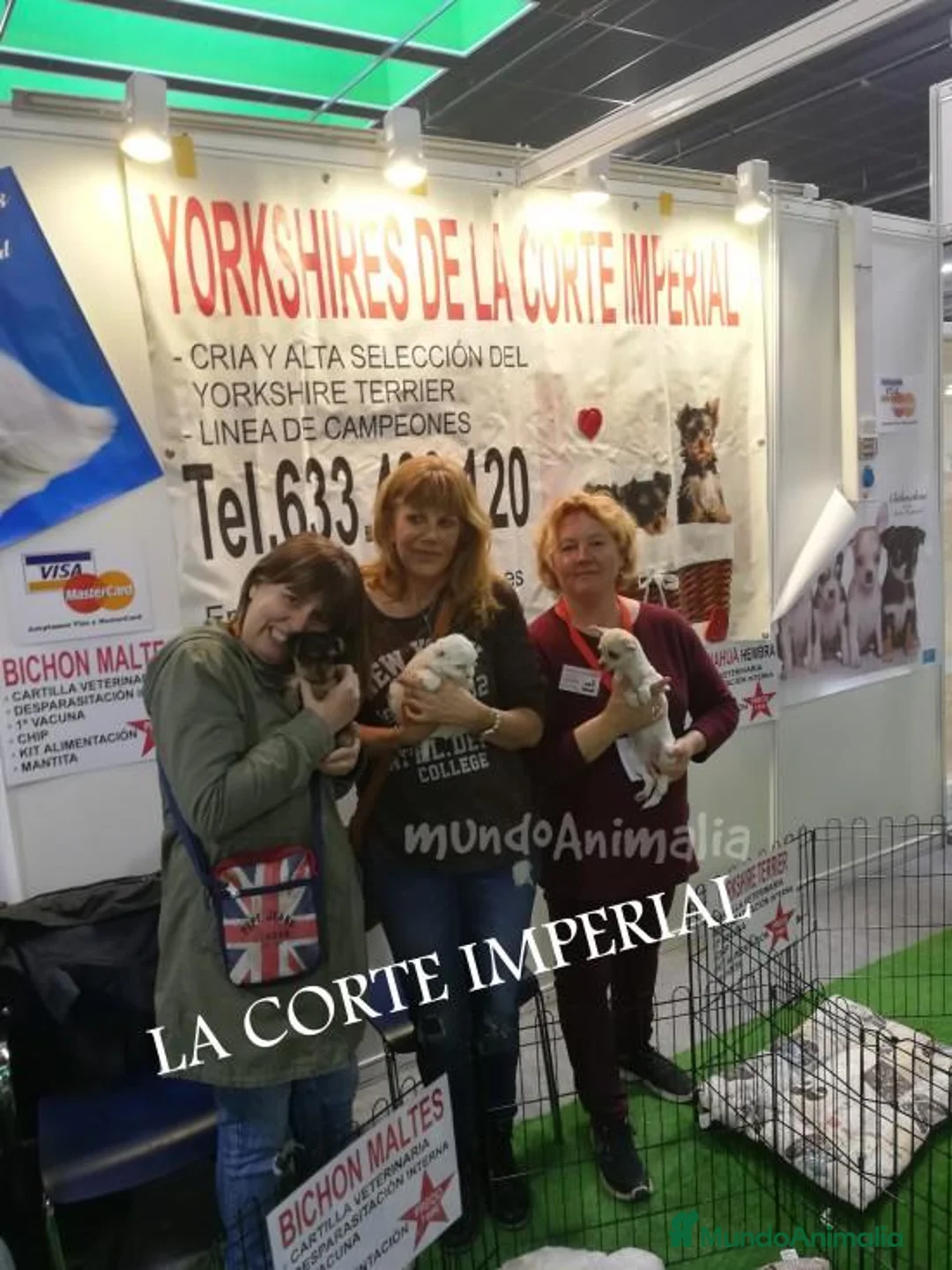 Imagen de galería {{count}}