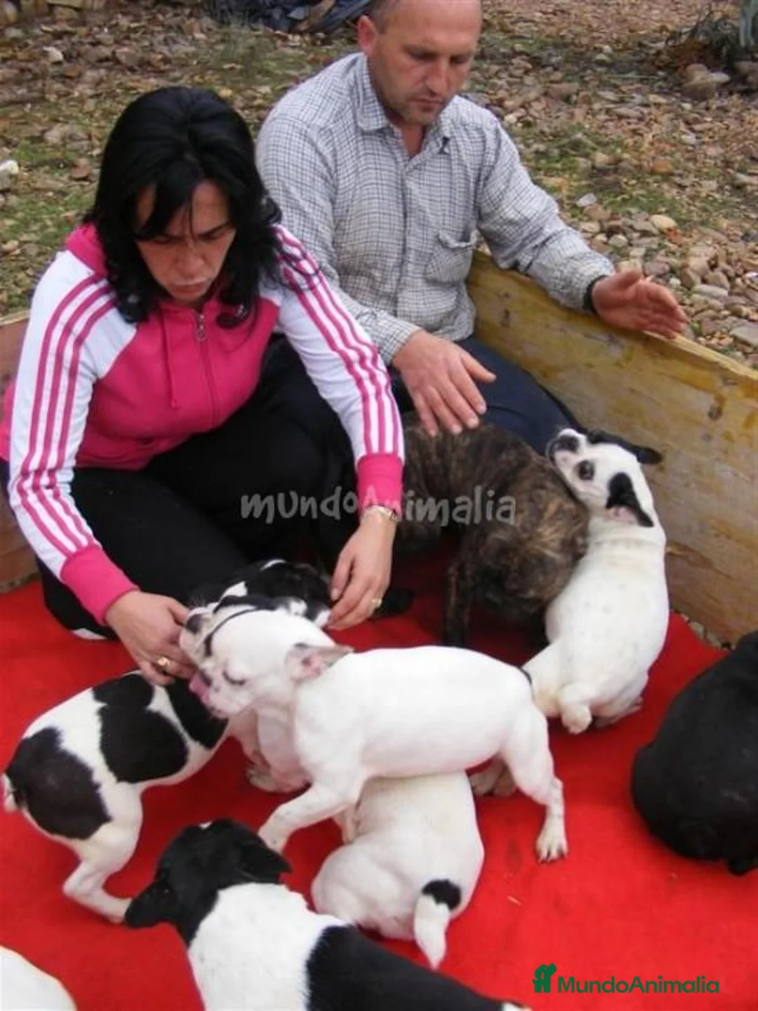 Imagen de galería {{count}}