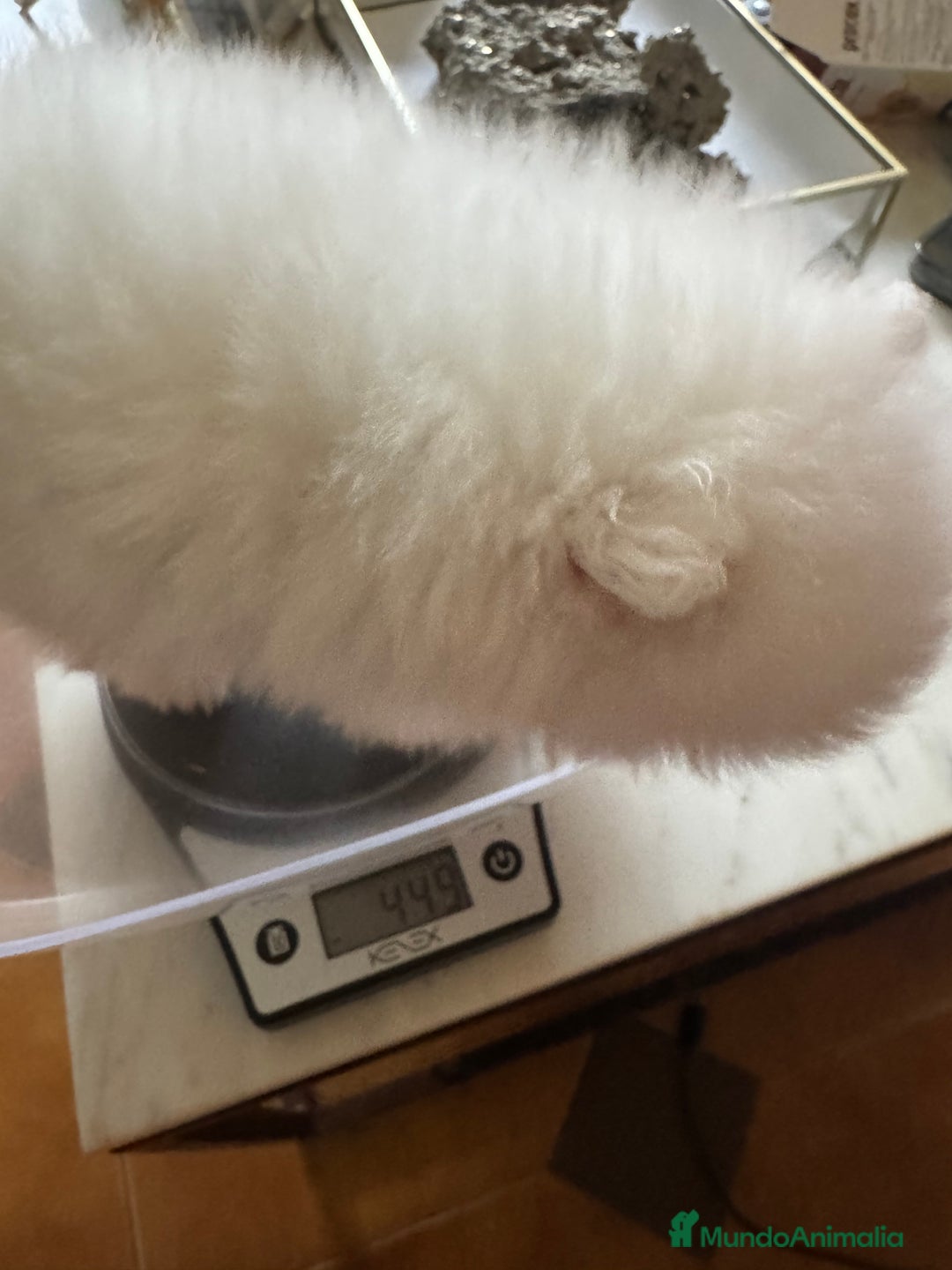 Imagen de galería {{count}}