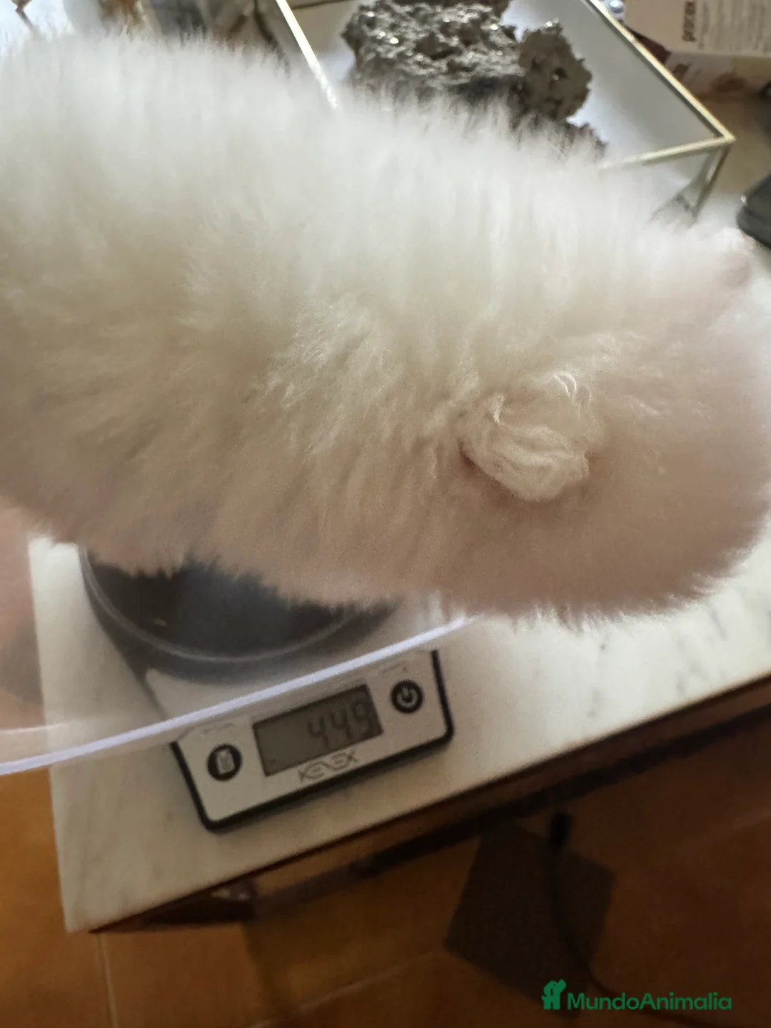 Imagen de galería {{count}}