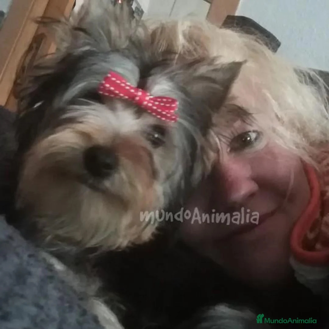 Imagen de galería {{count}}