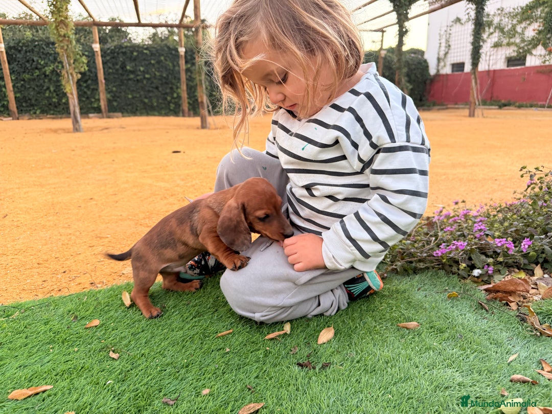 Imagen de galería {{count}}