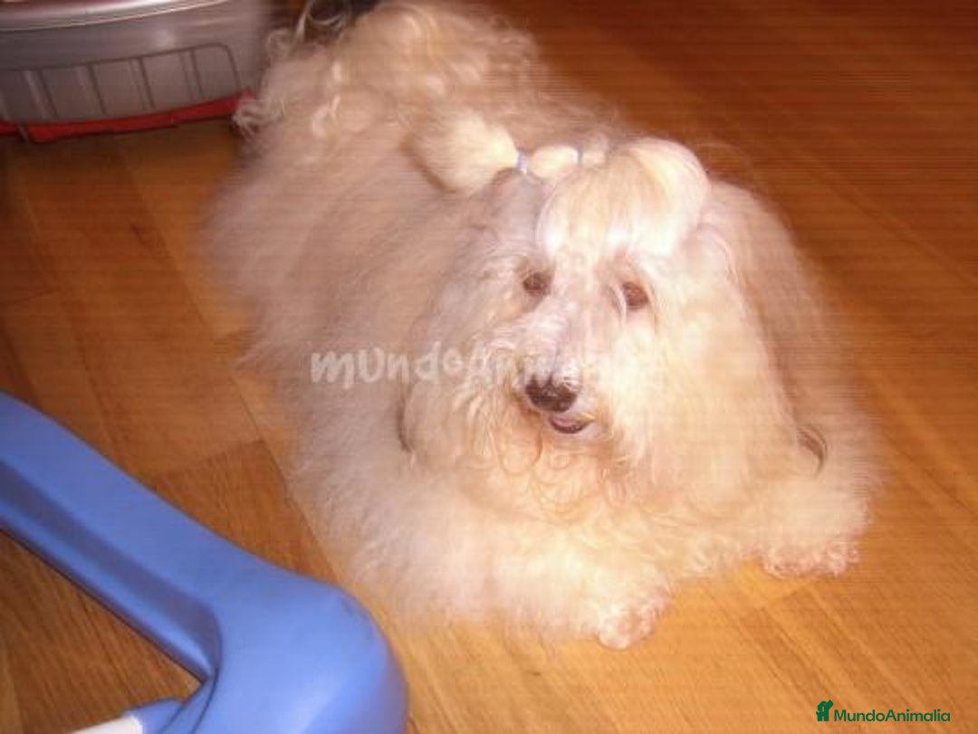 Imagen de galería {{count}}