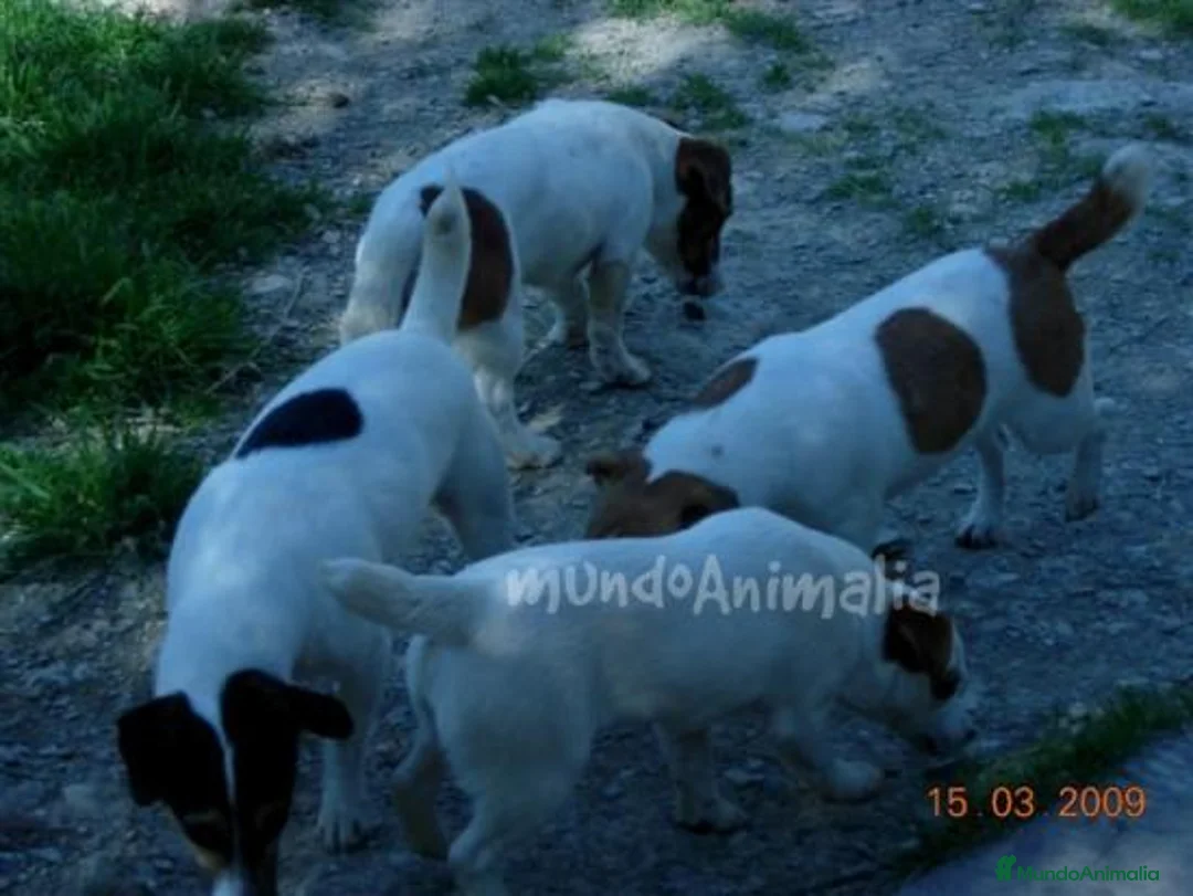 Imagen de galería {{count}}