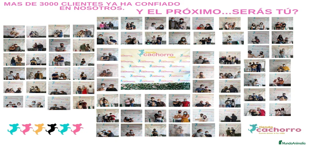 Imagen de galería {{count}}