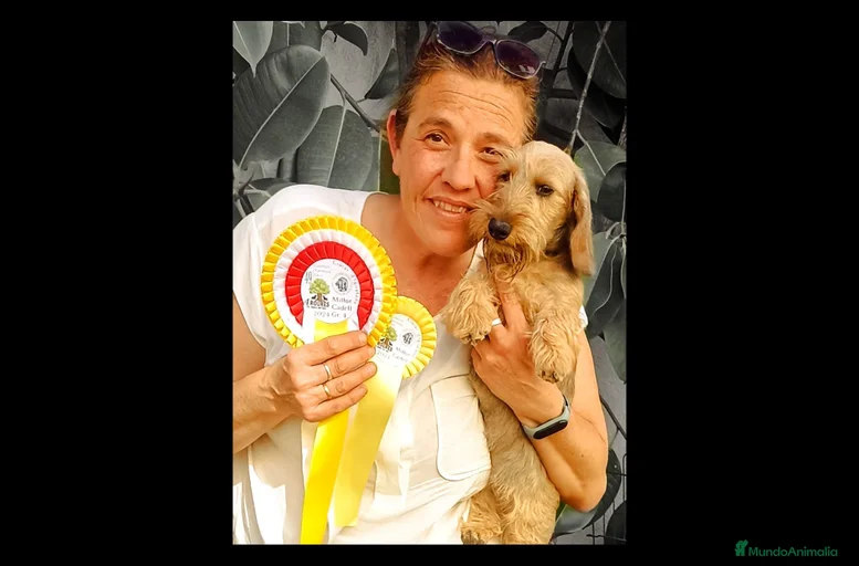 Imagen de galería {{count}}