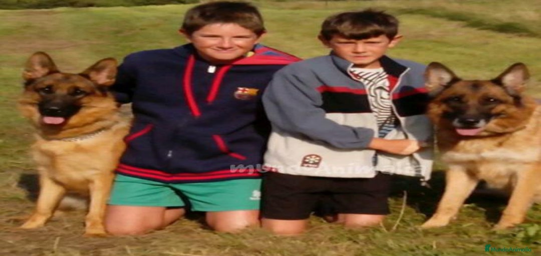 Imagen de galería {{count}}