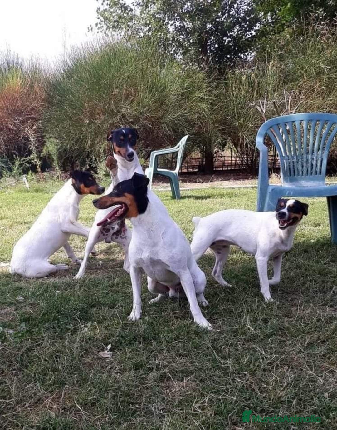 Imagen de galería {{count}}