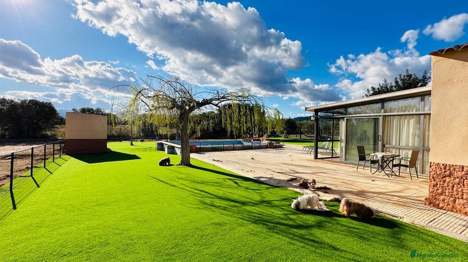 Imagen de galería {{count}}