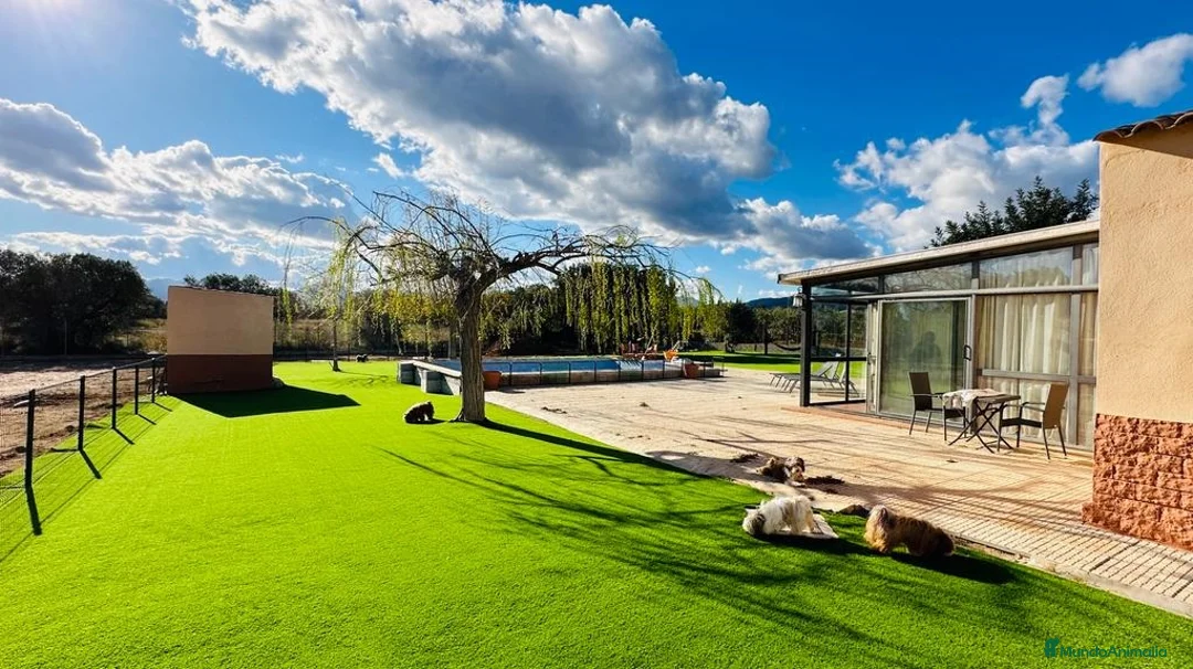 Imagen de galería {{count}}