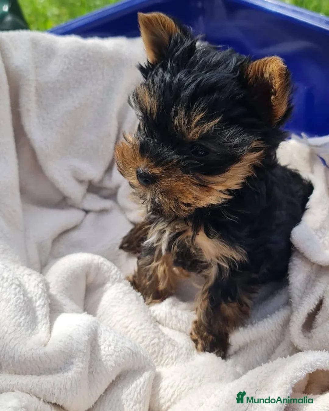 Imagen de galería {{count}}