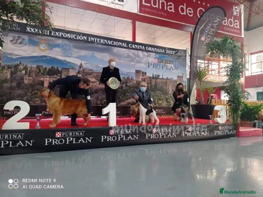 Imagen de galería {{count}}