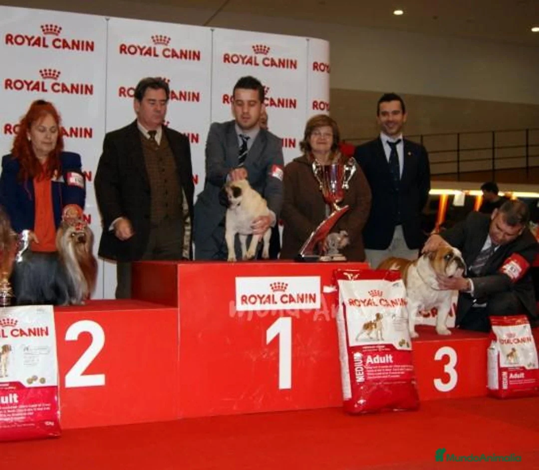 Imagen de galería {{count}}