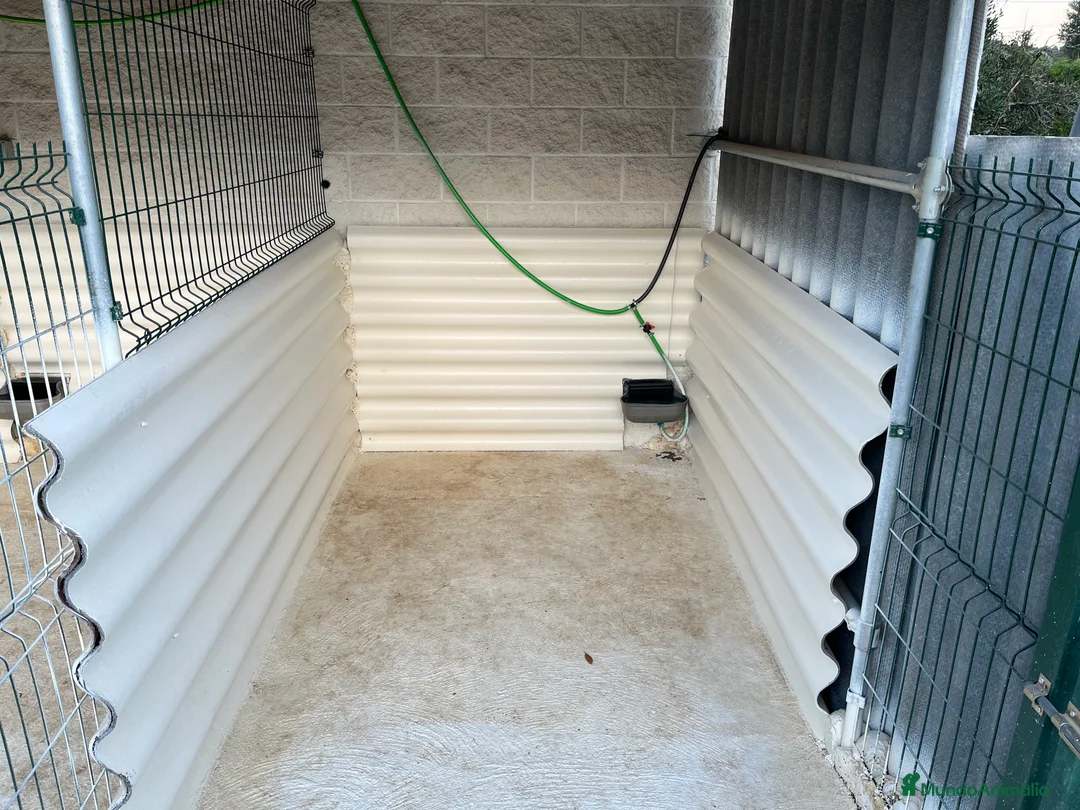 Imagen de galería {{count}}