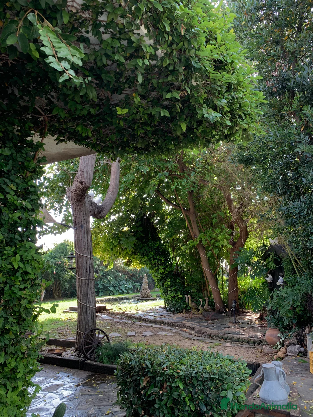 Imagen de galería {{count}}