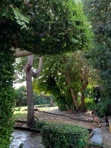 Imagen de galería {{count}}