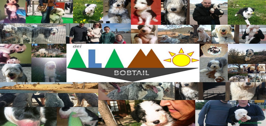 Imagen de galería {{count}}