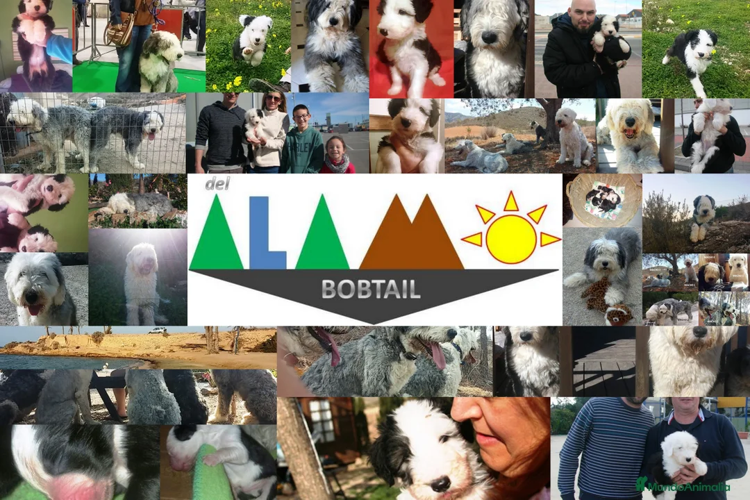 Imagen de galería {{count}}