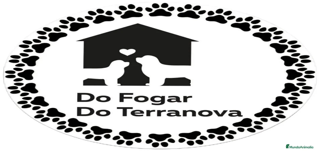 Imagen de galería {{count}}