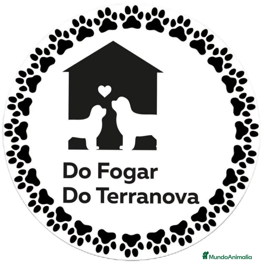 Imagen de galería {{count}}