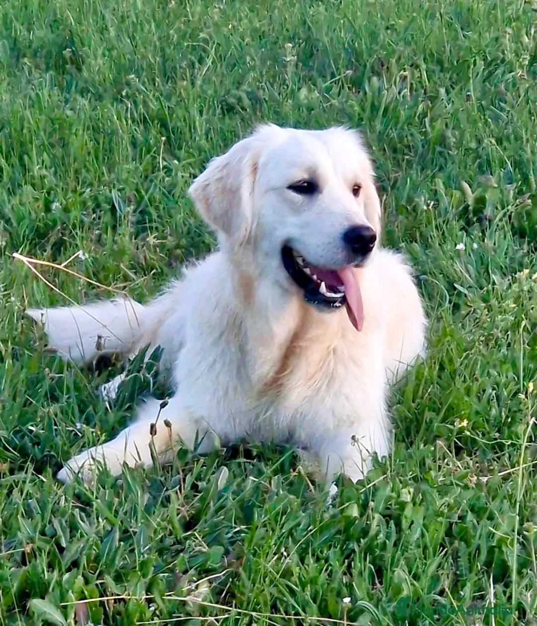 Imagen de galería {{count}}