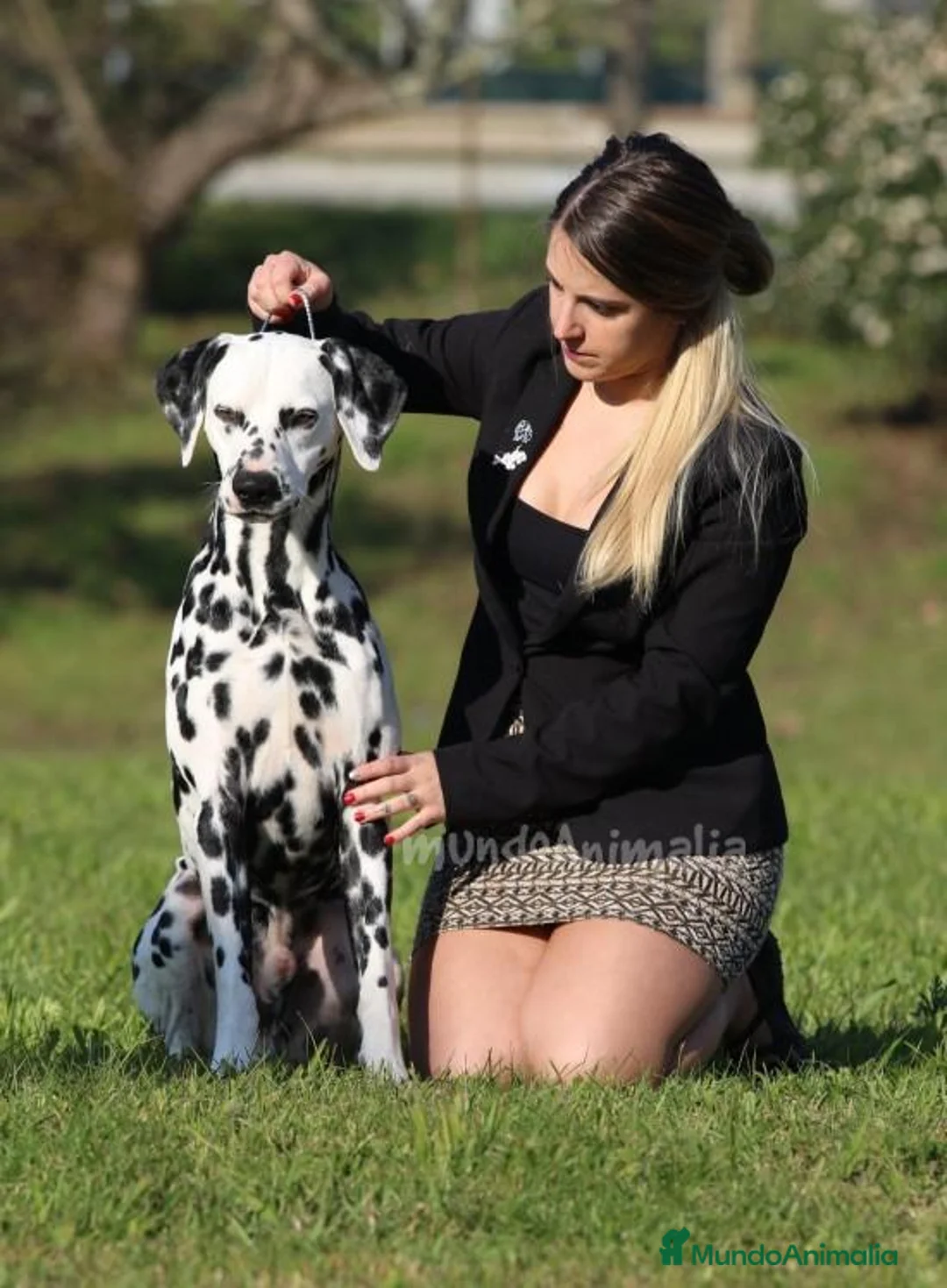 Imagen de galería {{count}}