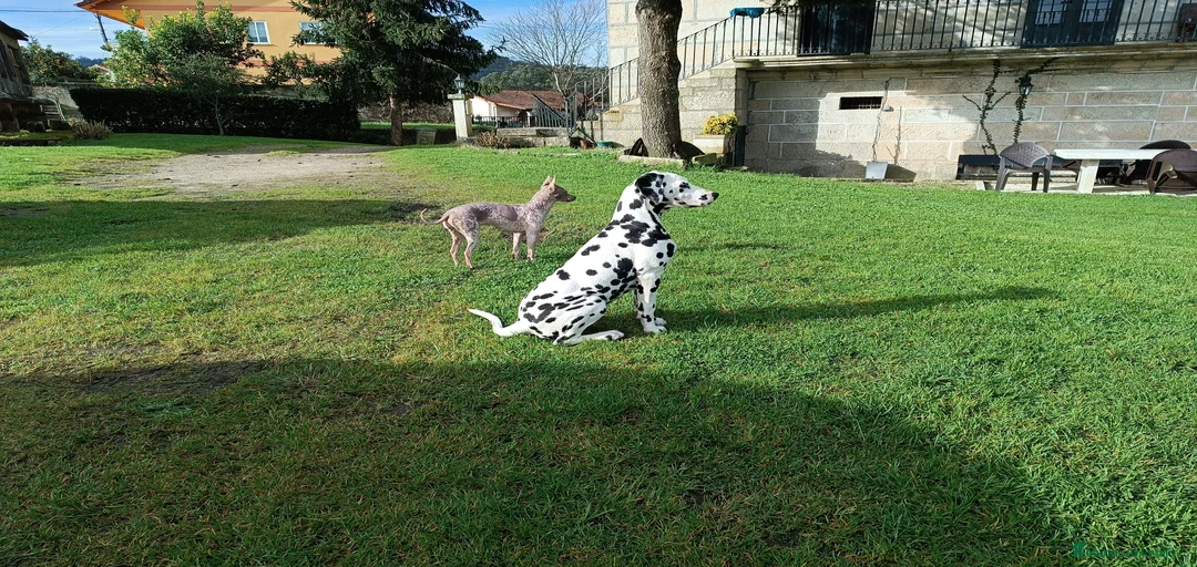 Imagen de galería {{count}}