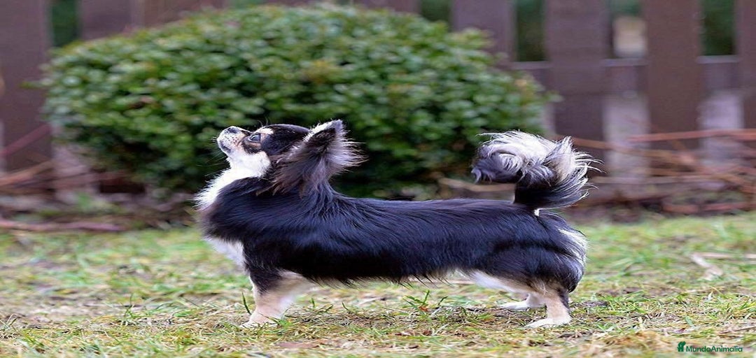 Imagen de galería {{count}}