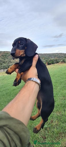 Imagen de galería {{count}}