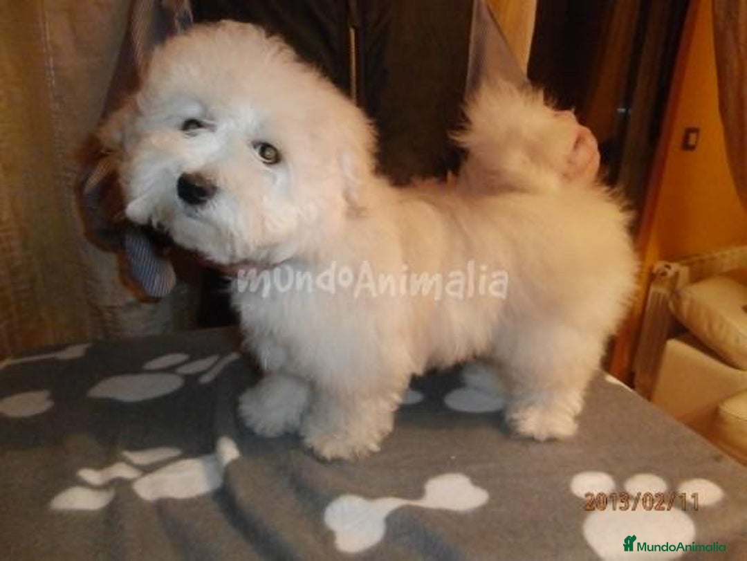 Imagen de galería {{count}}