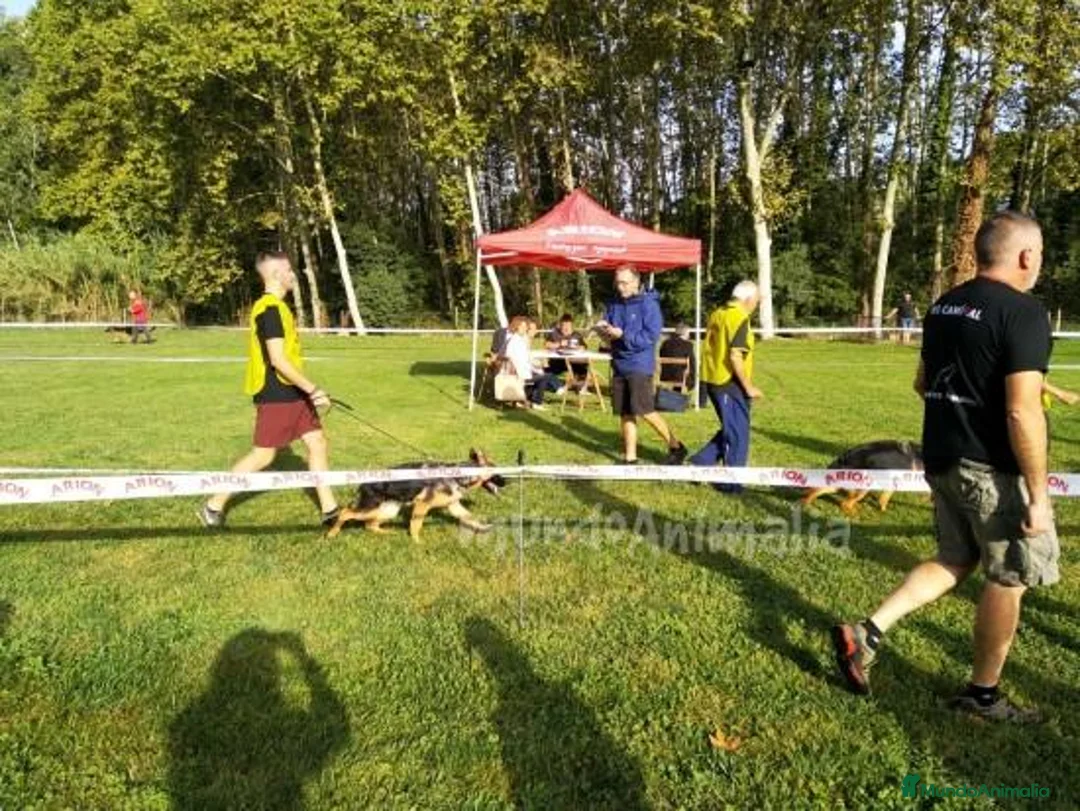 Imagen de galería {{count}}