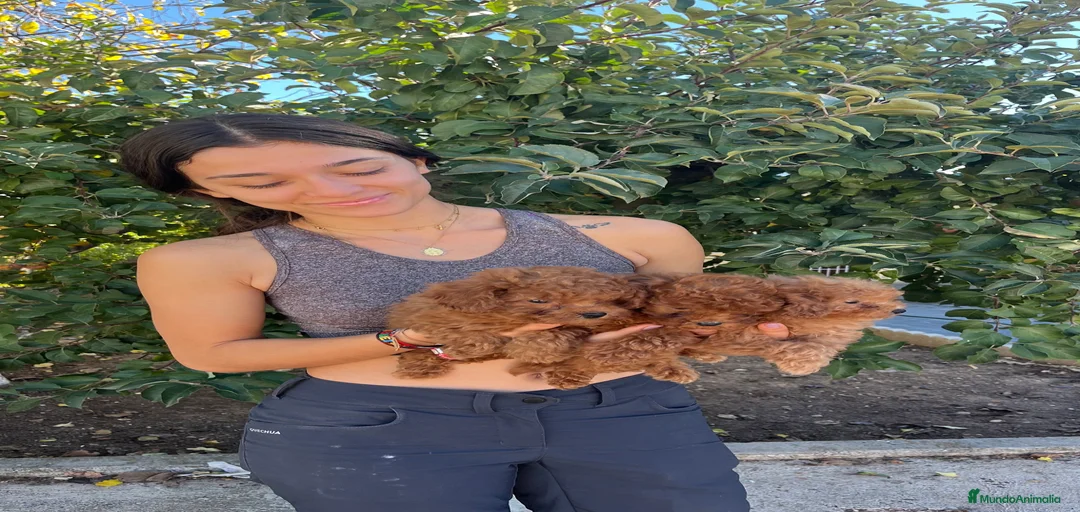 Imagen de galería {{count}}