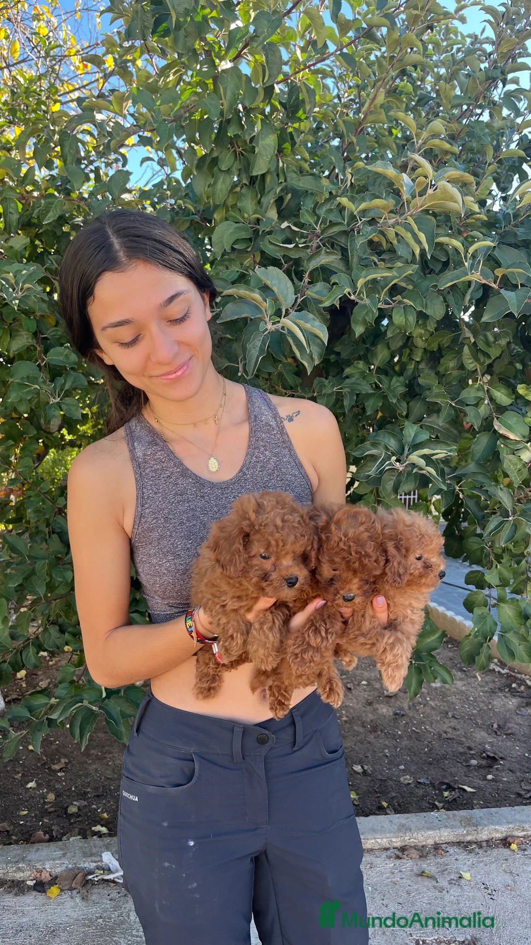 Imagen de galería {{count}}