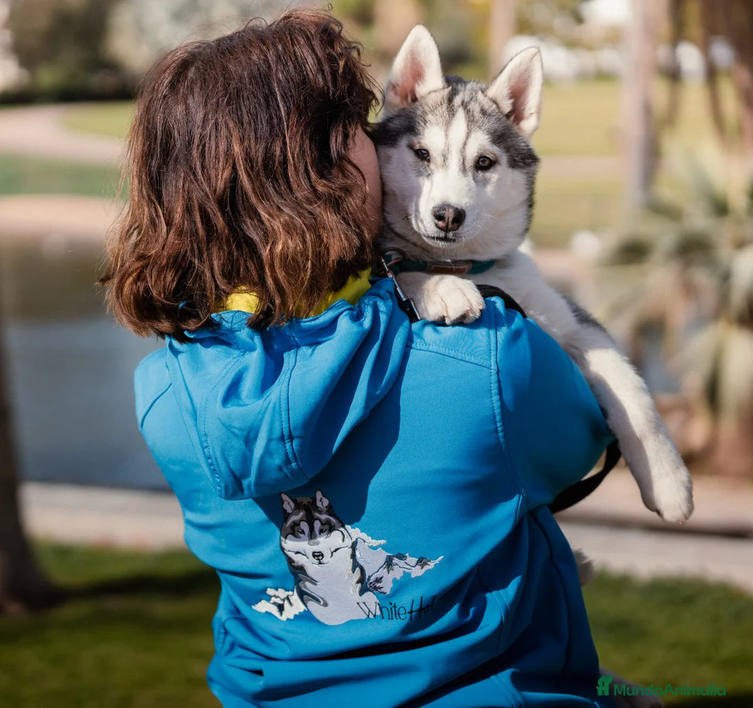 Imagen de galería {{count}}