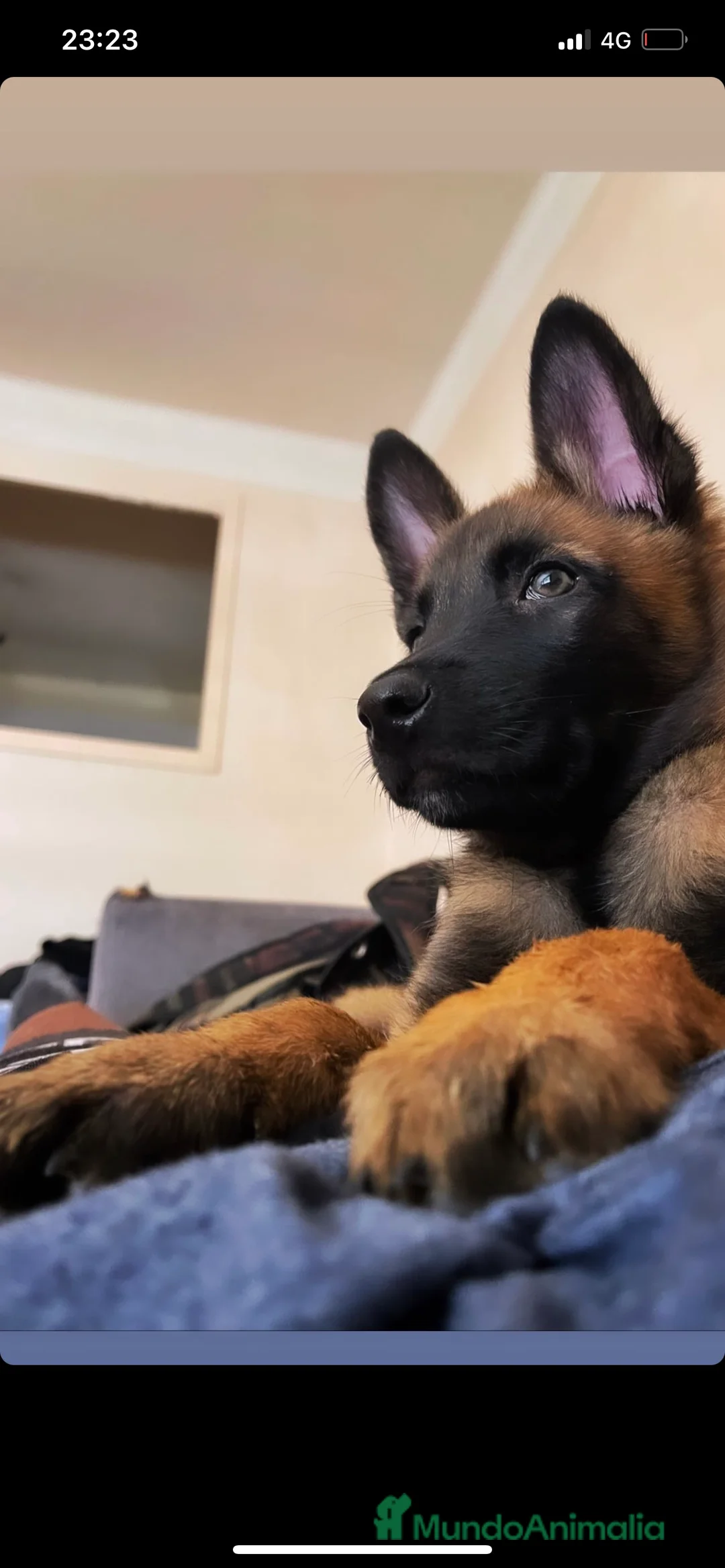 Imagen de galería {{count}}