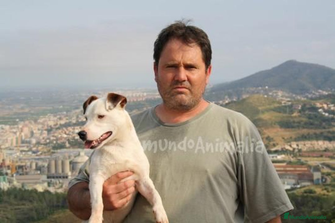 Imagen de galería {{count}}