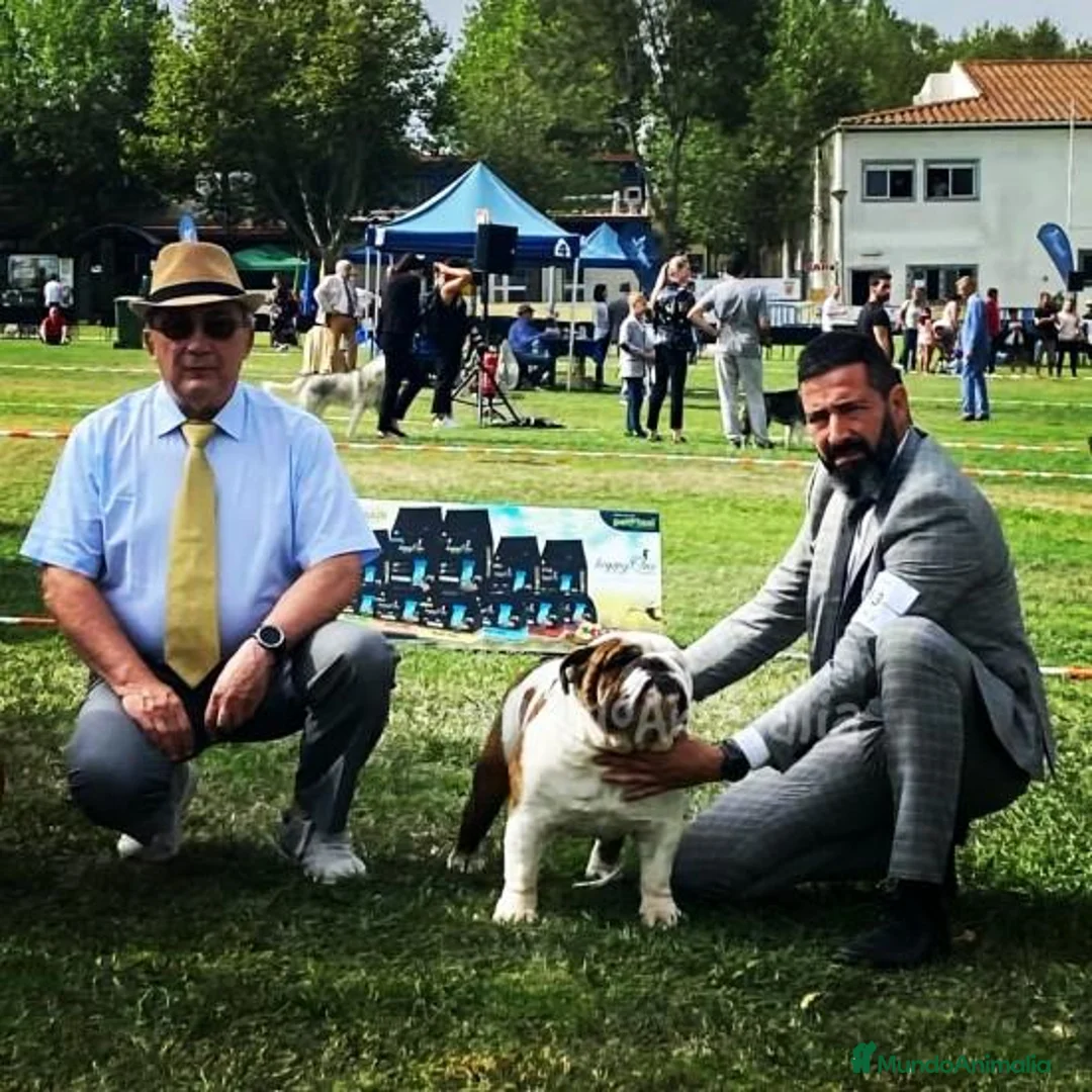 Imagen de galería {{count}}