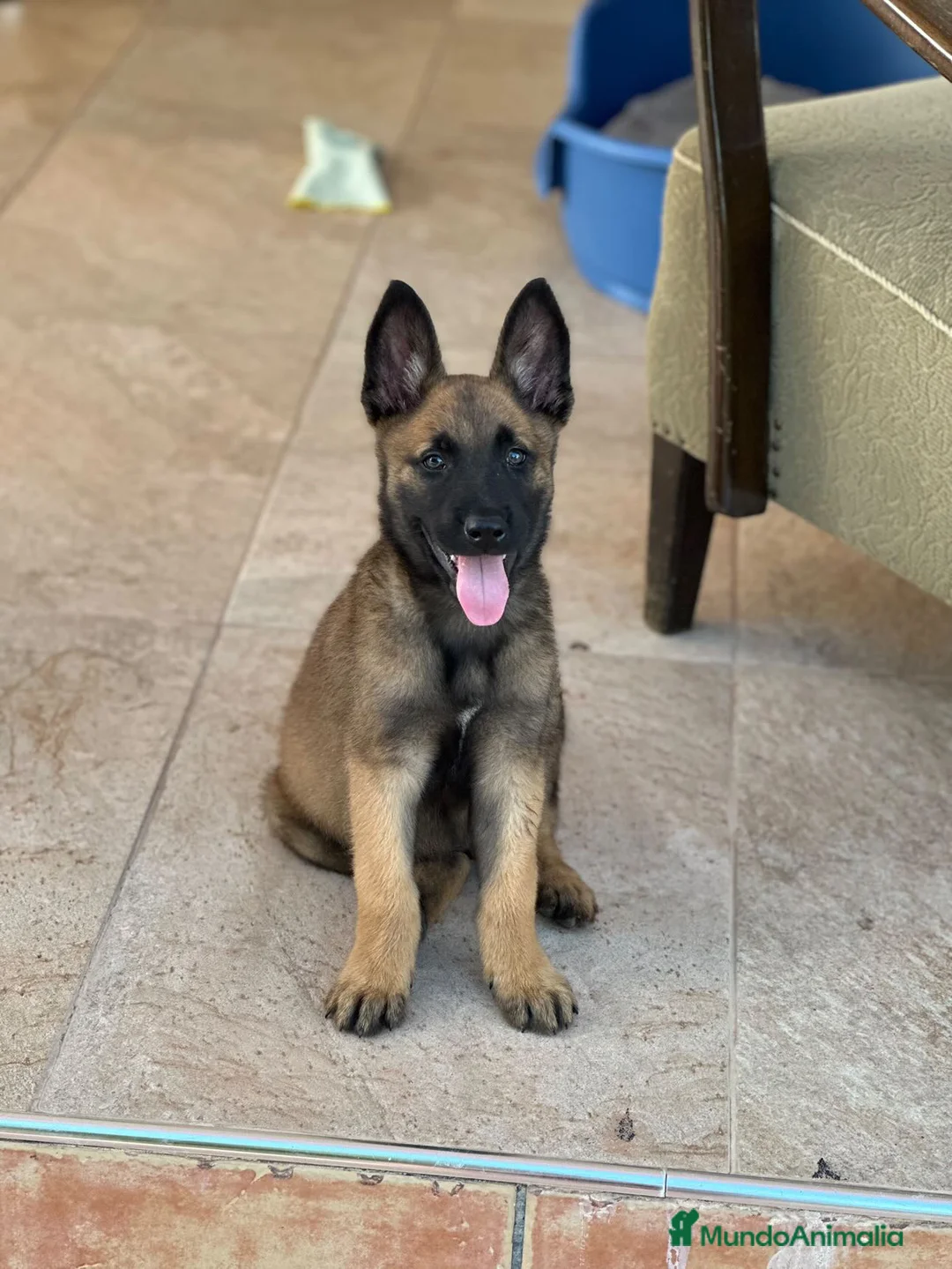 Imagen de galería {{count}}