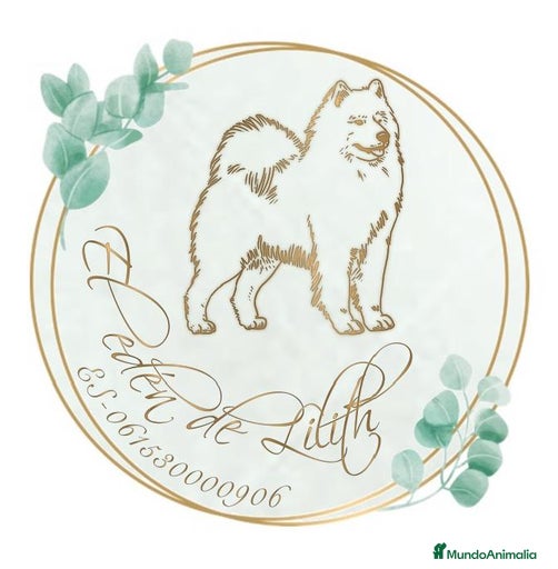 Imagen de galería {{count}}