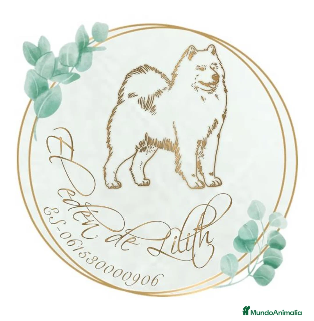 Imagen de galería {{count}}