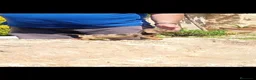 Teckel Miniatura perros en venta: Preciosas teckel miniatura y kaninchen  - Anuncio 3