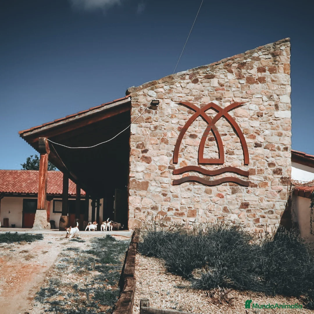 Imagen de galería {{count}}