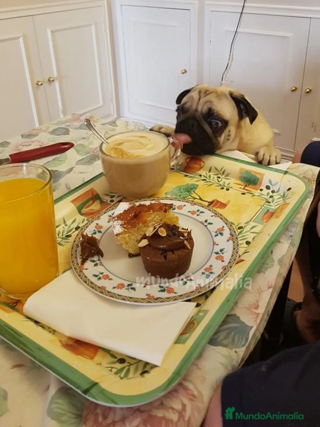 Imagen de galería {{count}}