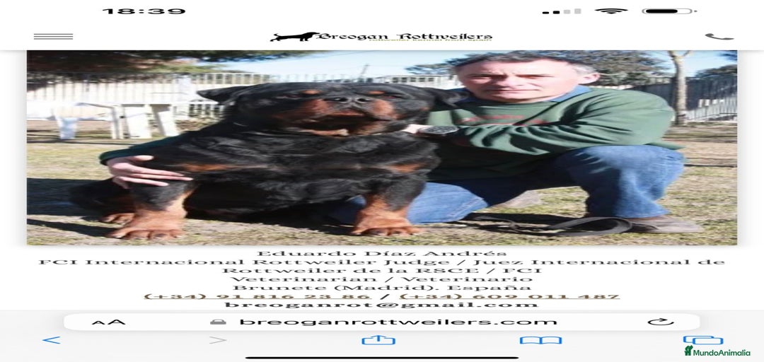 Imagen de galería {{count}}