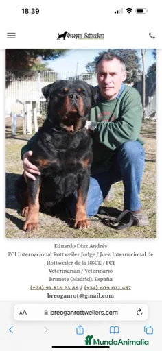 Imagen de galería {{count}}