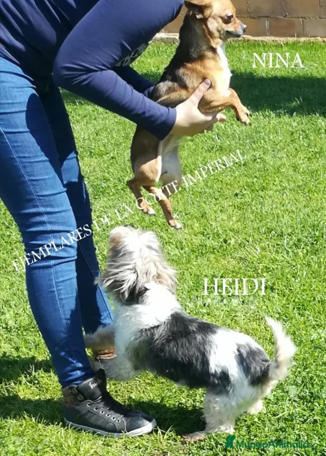 Imagen de galería {{count}}