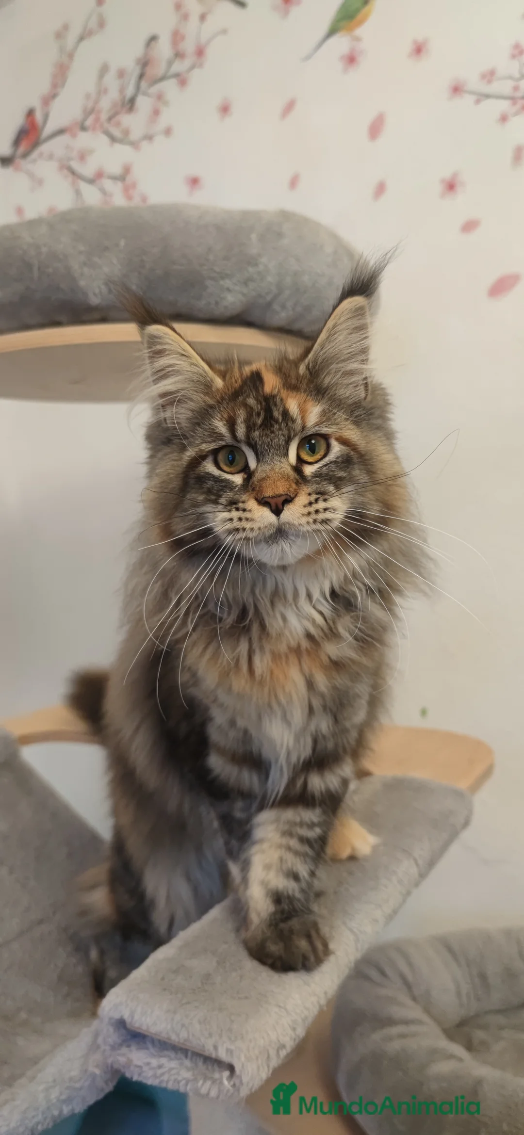 Imagen de galería {{count}}